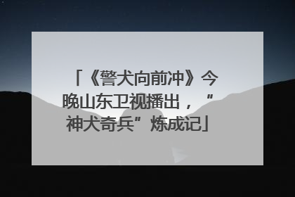 《警犬向前冲》今晚山东卫视播出，“神犬奇兵”炼成记