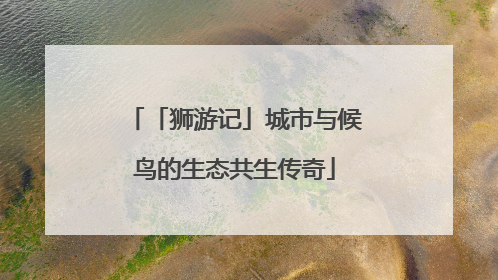 「狮游记」城市与候鸟的生态共生传奇