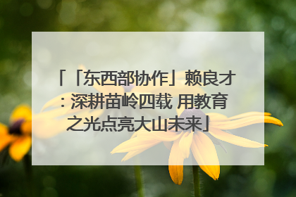 「东西部协作」赖良才：深耕苗岭四载 用教育之光点亮大山未来