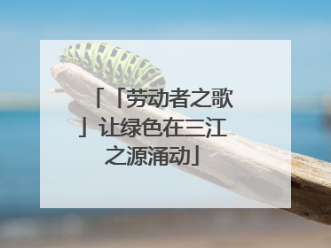 「劳动者之歌」让绿色在三江之源涌动
