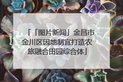 「图片新闻」金昌市金川区因地制宜打造农旅融合田园综合体