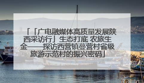 「广电融媒体高质量发展陕西采访行」生态打底 农旅生金——探访西营镇蔓营村省级旅游示范村的振兴密码