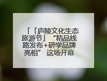 「庐陵文化生态旅游节」“精品线路发布+研学品牌亮相” 这场开幕式亮点纷呈！