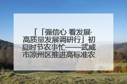 「强信心 看发展·高质量发展调研行」初夏时节农事忙——武威市凉州区推进高标准农田建设见闻