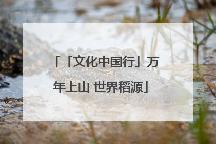 「文化中国行」万年上山 世界稻源