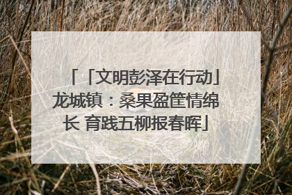 「文明彭泽在行动」龙城镇：桑果盈筐情绵长 育践五柳报春晖