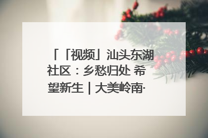 「视频」汕头东湖社区：乡愁归处 希望新生｜大美岭南·百村焕新记