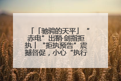 「驰骋的天平」“赤电”出鞘·剑指拒执︱“拒执预告”震撼督促，小心“执行”变“执刑”