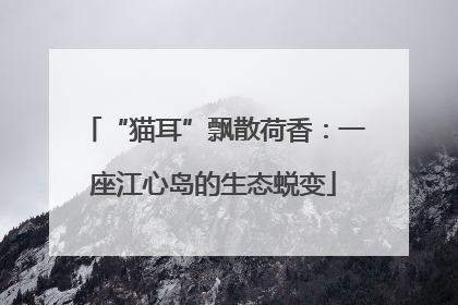 “猫耳”飘散荷香：一座江心岛的生态蜕变