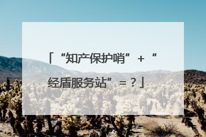 “知产保护哨”+“经盾服务站”=？