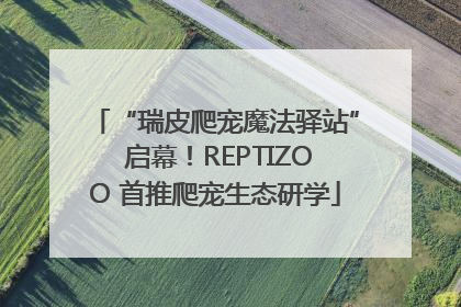 “瑞皮爬宠魔法驿站” 启幕！REPTIZOO 首推爬宠生态研学