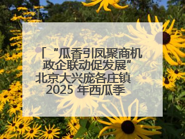 “瓜香引凤聚商机 政企联动促发展”北京大兴庞各庄镇 2025 年西瓜季政企联动产业推介活动圆满举行