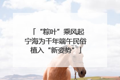“粽叶”乘风起 宁海为千年端午民俗植入“新姿势”
