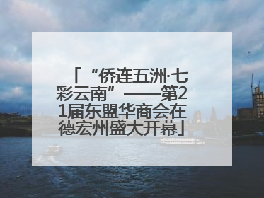 “侨连五洲·七彩云南”——第21届东盟华商会在德宏州盛大开幕