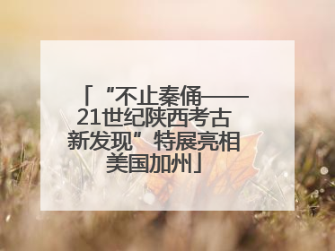 “不止秦俑——21世纪陕西考古新发现”特展亮相美国加州