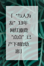 “与人为友”13年 网红麋鹿“点点”已产下8胎幼崽