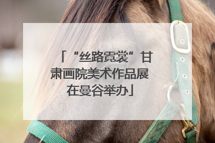 “丝路霓裳”甘肃画院美术作品展在曼谷举办