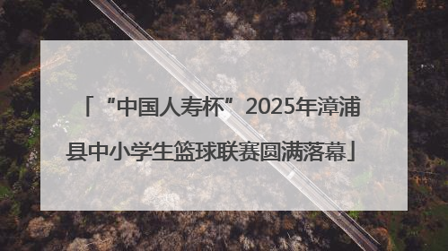 “中国人寿杯”2025年漳浦县中小学生篮球联赛圆满落幕