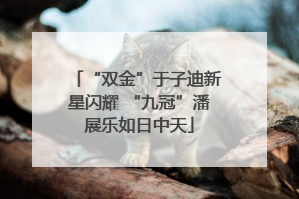 “双金”于子迪新星闪耀 “九冠”潘展乐如日中天