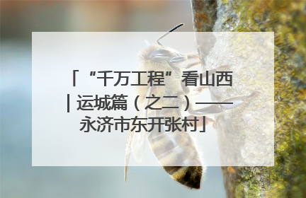 “千万工程”看山西｜运城篇（之二）——永济市东开张村