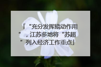 “充分发挥撬动作用”，江苏多地将“苏超”列入经济工作重点