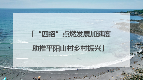 “四招”点燃发展加速度 助推平阳山村乡村振兴
