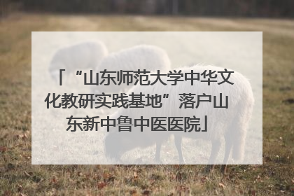“山东师范大学中华文化教研实践基地”落户山东新中鲁中医医院