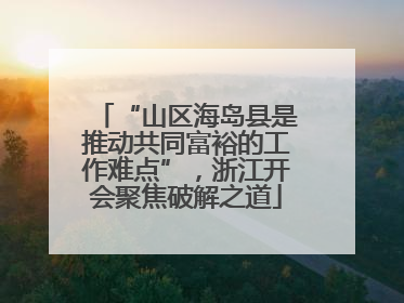 “山区海岛县是推动共同富裕的工作难点”，浙江开会聚焦破解之道