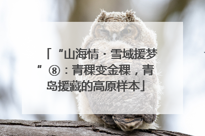 “山海情・雪域援梦”⑧：青稞变金稞，青岛援藏的高原样本