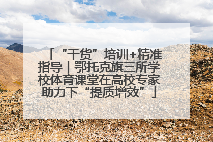 “干货”培训+精准指导丨鄂托克旗三所学校体育课堂在高校专家助力下“提质增效”