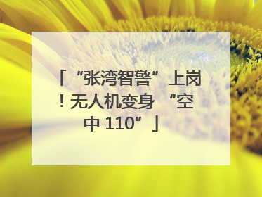 “张湾智警”上岗！无人机变身 “空中 110”