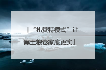 “扎赉特模式”让黑土粮仓家底更实