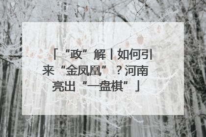 “政”解丨如何引来“金凤凰”？河南亮出“一盘棋”