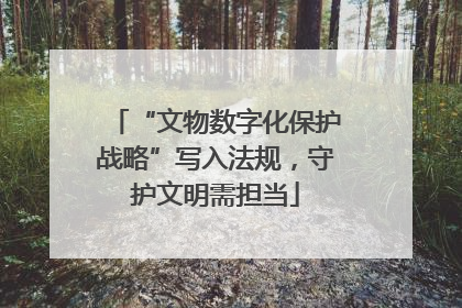 “文物数字化保护战略”写入法规，守护文明需担当
