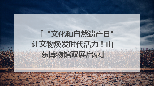“文化和自然遗产日”让文物焕发时代活力！山东博物馆双展启幕