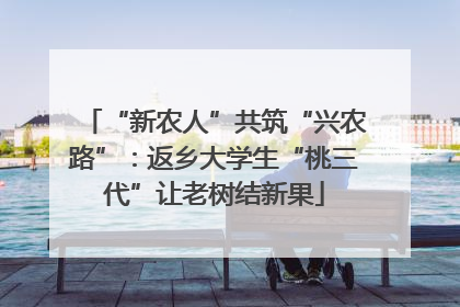 “新农人”共筑“兴农路”：返乡大学生“桃三代”让老树结新果