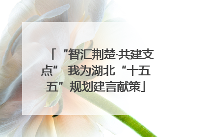 “智汇荆楚·共建支点” 我为湖北“十五五”规划建言献策