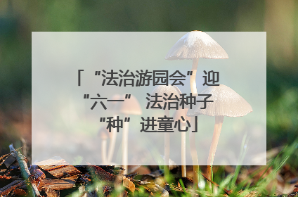 “法治游园会”迎“六一” 法治种子“种”进童心