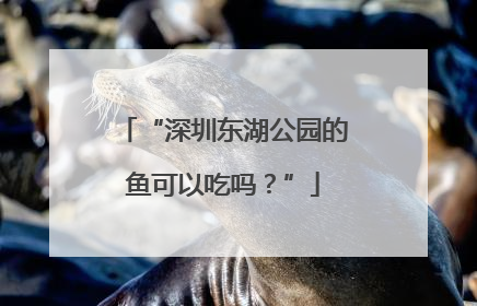 “深圳东湖公园的鱼可以吃吗？”
