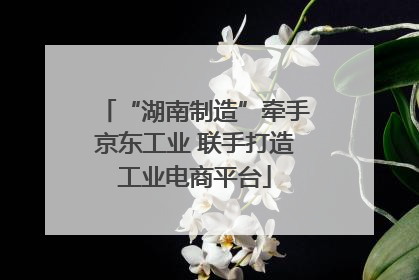 “湖南制造”牵手京东工业 联手打造工业电商平台