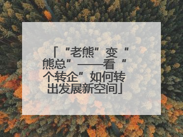 “老熊”变“熊总”——看“个转企”如何转出发展新空间
