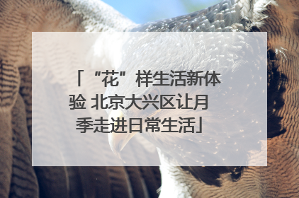 “花”样生活新体验 北京大兴区让月季走进日常生活