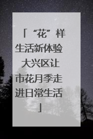 “花”样生活新体验 大兴区让市花月季走进日常生活