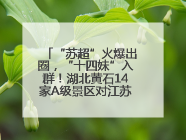 “苏超”火爆出圈，“十四妹”入群！湖北黄石14家A级景区对江苏游客免票