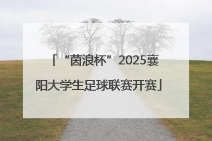 “茵浪杯”2025襄阳大学生足球联赛开赛