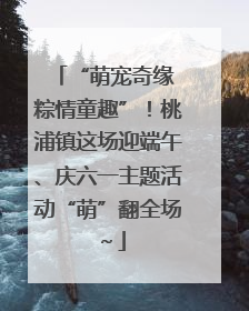 “萌宠奇缘 粽情童趣”！桃浦镇这场迎端午、庆六一主题活动“萌”翻全场～
