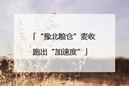 “豫北粮仓”麦收跑出“加速度”