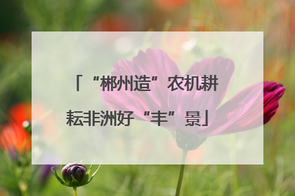 “郴州造”农机耕耘非洲好“丰”景
