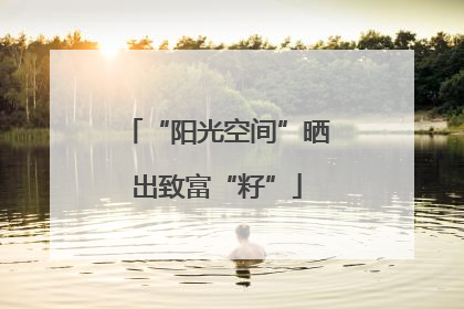 “阳光空间”晒出致富“籽”
