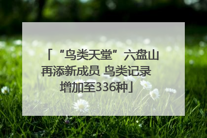 “鸟类天堂”六盘山再添新成员 鸟类记录增加至336种